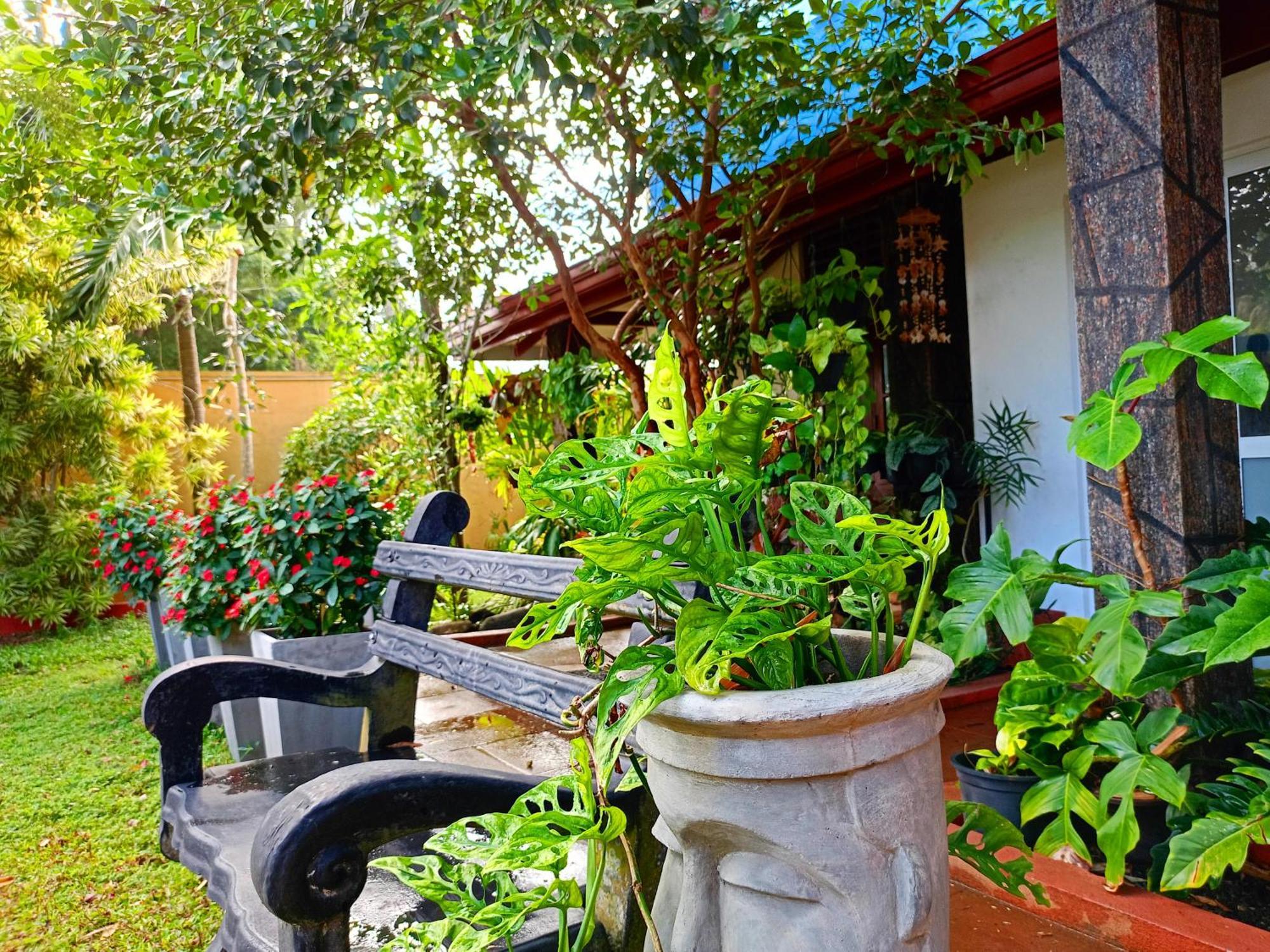 Raj Mahal Inn Wadduwa Exteriör bild