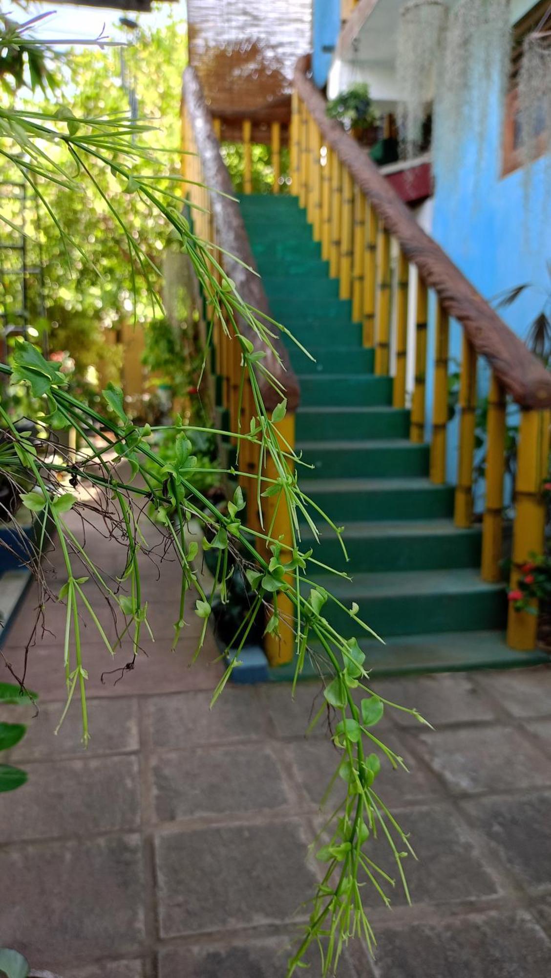 Raj Mahal Inn Wadduwa Exteriör bild